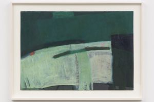 Ilse DHollander