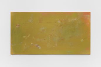 Maaike Schoorel contemporary artist