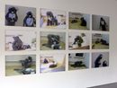 Audition for a Pair of Koalas White by Kathy Temin contemporary artwork Print