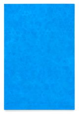 Scales Variation 6 C by Naufus Ramirez-Figueroa contemporary artwork painting sculpture