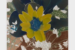 Francesco Clemente