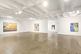 Contemporary art exhibition Yinka Shonibare CBE RA Earth Pictures at Goodman Gallery Johannesburg South Africa