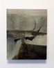 Dust and Water I by Biraaj Dodiya contemporary artwork Painting
