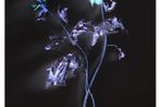 Axel Hutte contemporary artist