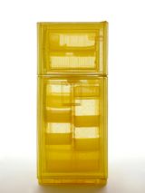 Specimen Series Refrigerator Unit 2 348 West 22nd Street New York NY 10011 USA by Do Ho Suh contemporary artwork installation
