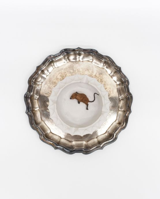 Little Mouse Tray by Liz Magor contemporary artwork Sculpture