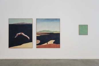 Contemporary art exhibition Guim Tio Guim Tio at Alzueta Gallery Madrid Spain