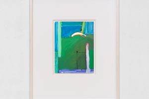 Ilse DHollander