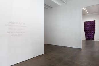 Contemporary art exhibition Anthony Olubunmi Akinbola Natural Beauty at Sean Kelly New York United States