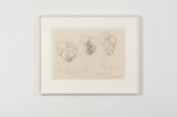 Untitled Shells by Stefan Bertalan contemporary artwork drawing works on paper