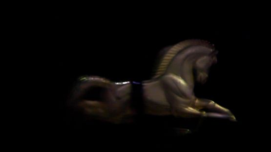 The Sallie Gardner Illusion by Pedro Gomez-Egana contemporary artwork Moving Image