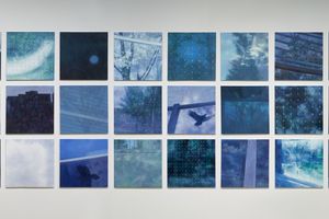 Ju Young Lee