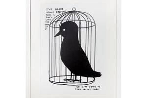 David Shrigley