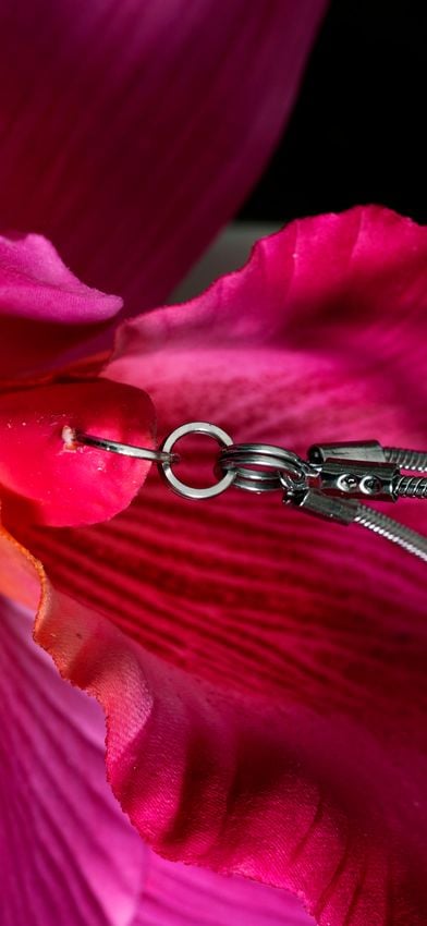 ‘A Machine Replaces Human Labour’: Pulling Back the Petals of Rachel Youn’s Mutated Massagers