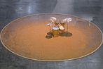Celeste Boursier-Mougenot contemporary artist