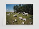 One love by Paola Pivi contemporary artwork Print