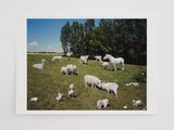 One love  by Paola Pivi contemporary artwork print