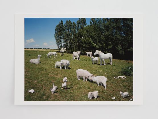 One love  by Paola Pivi contemporary artwork Print