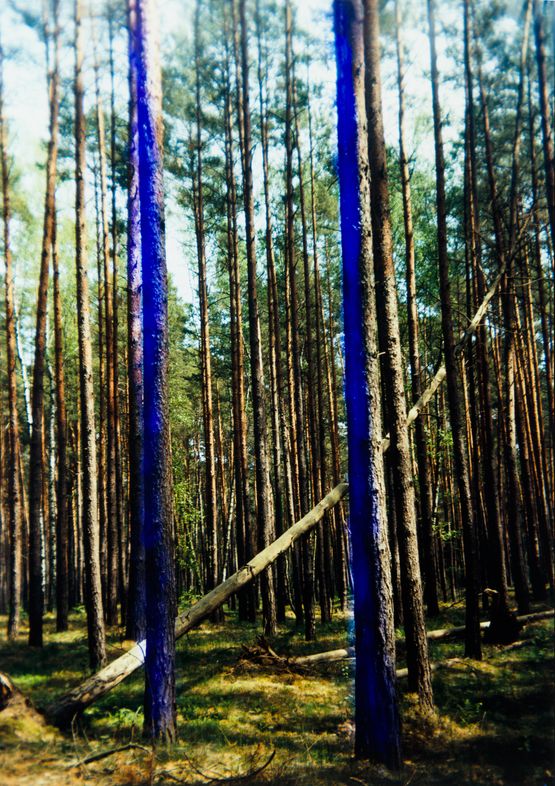 Projektion by Frank Madler contemporary artwork Photography