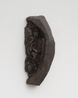 Vein by Ryu Takeda contemporary artwork Sculpture
