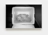 Sem titulo da serie Tamo junto nao e gorjeta Untitled from the Were in This Together Isnt a Tip series by Allan Weber contemporary artwork print