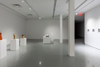 Contemporary art exhibition Michael Joo Sensory Meridian at Kavi Gupta Elizabeth St Chicago United States