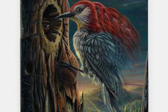 Alexander Harrison contemporary artist