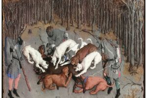 Wang Xuan