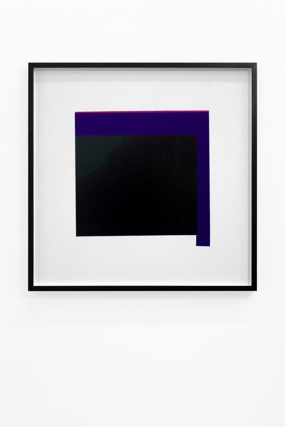 memorySchmetterling by Martin Wohrl contemporary artwork Works on Paper