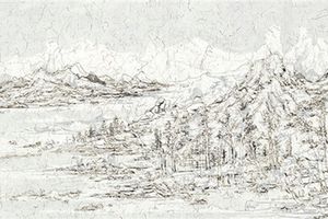 Wang Tiande
