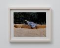 hay girlLA2015 by Fumiko Imano contemporary artwork Photography