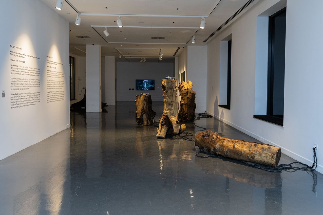 Group Exhibition