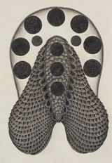 Dummy No.98 by Park Wunggyu contemporary artwork drawing painting works on paper