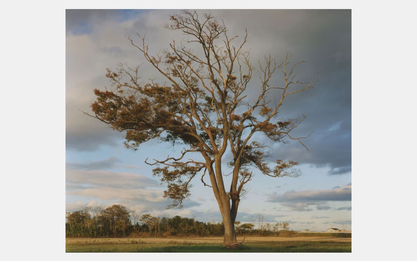 Naoya Hatakeyama