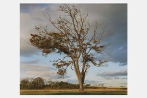 Naoya Hatakeyama