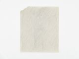 The Dogs Bean by Lai Yu Tong contemporary artwork drawing works on paper
