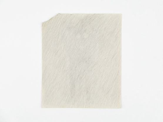 The Dogs Bean by Lai Yu Tong contemporary artwork Works on Paper