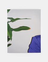 Shoulder and plant by Marcel Vidal contemporary artwork painting