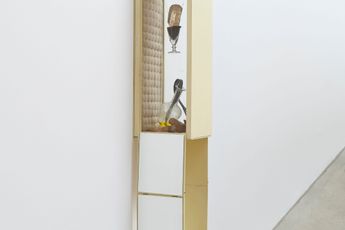 Tunga contemporary artist