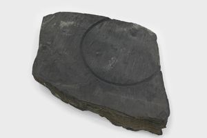 Robert Smithson
