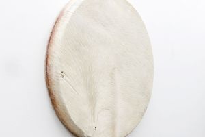 Yohan Han