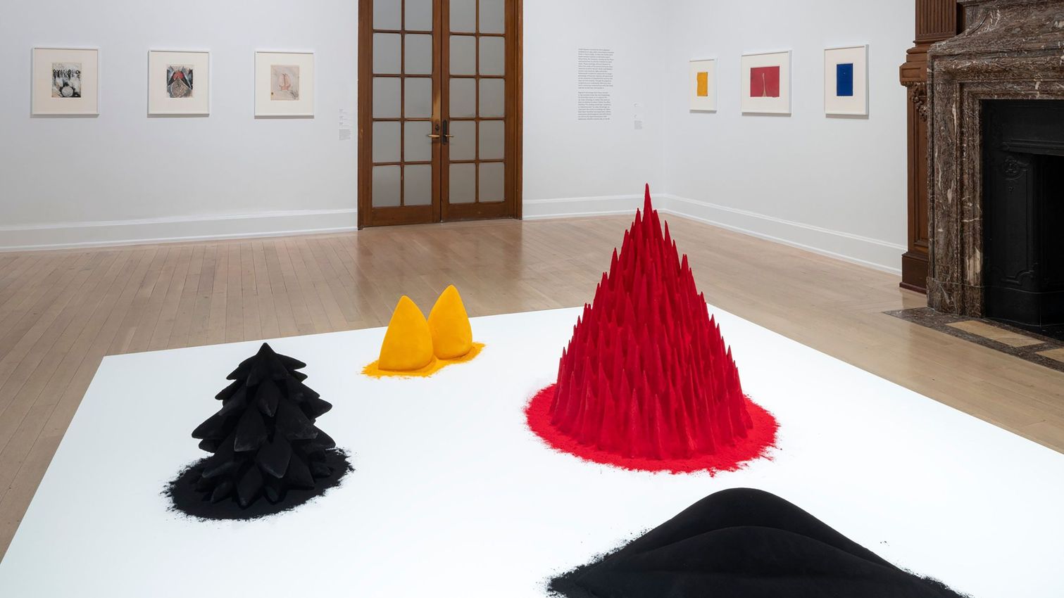 Anish Kapoor