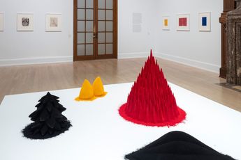 Contemporary art exhibition Anish Kapoor Early Works at The Jewish Museum New York United States