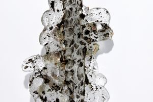 Eve Biddle