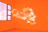 Pink Daisies Amber Room by Diana Thater contemporary artwork moving image