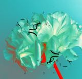 Grain Rain Series-Flower with Flying Text 4 by Hung Keung contemporary artwork moving image