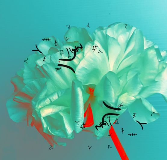 Grain Rain Series-Flower with Flying Text 4 by Hung Keung contemporary artwork Moving Image