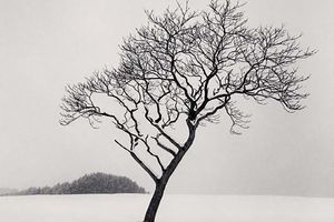 Michael Kenna