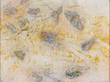 Windblown insects on the salt - Lake Tyrrell for JC by John Wolseley contemporary artwork print