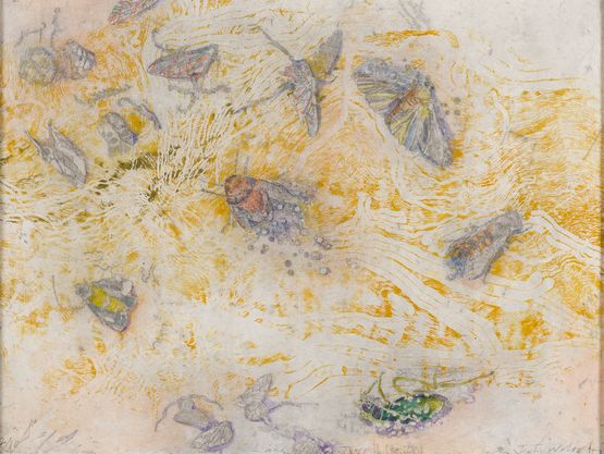 Windblown insects on the salt - Lake Tyrrell for JC by John Wolseley contemporary artwork Print